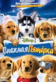 Снежная пятерка