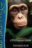 Шимпанзе
