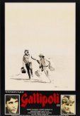 Галлиполи