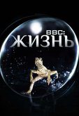 BBC: Жизнь