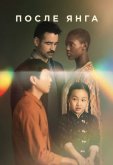 После Янга