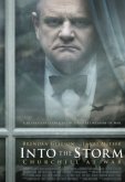 Навстречу шторму