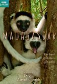 BBC: Мадагаскар