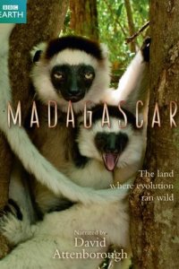 BBC: Мадагаскар