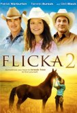 Флика 2