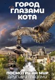 Город глазами кота