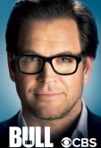 Мистер Булл