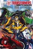 Трансформеры: Роботы под прикрытием