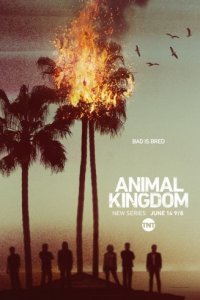 По волчьим законам