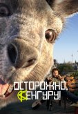 Осторожно, Кенгуру!
