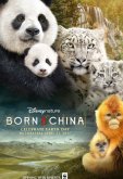 Рожденные в Китае