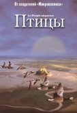 Птицы