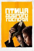 Птица доброго господа