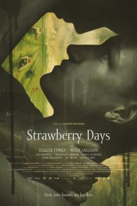 Клубничные поля