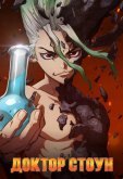 Доктор Стоун
