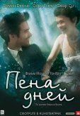 Пена дней