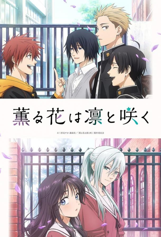 Благоухающий цветок расцветает с достоинством