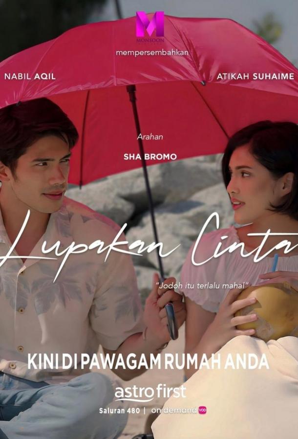 Забудь о любви