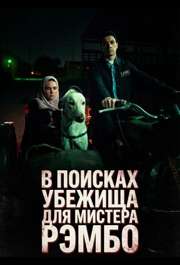 В поисках убежища для мистера Рэмбо