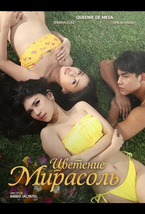 Цветение Мирасоль