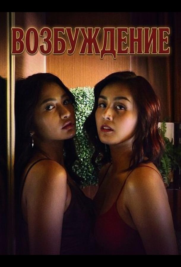 Возбуждение