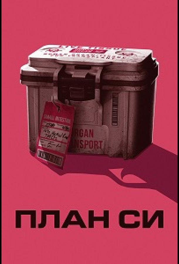 План Си