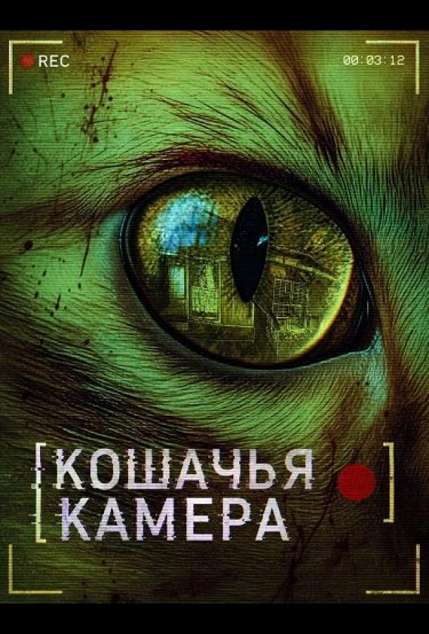 Кошачья камера
